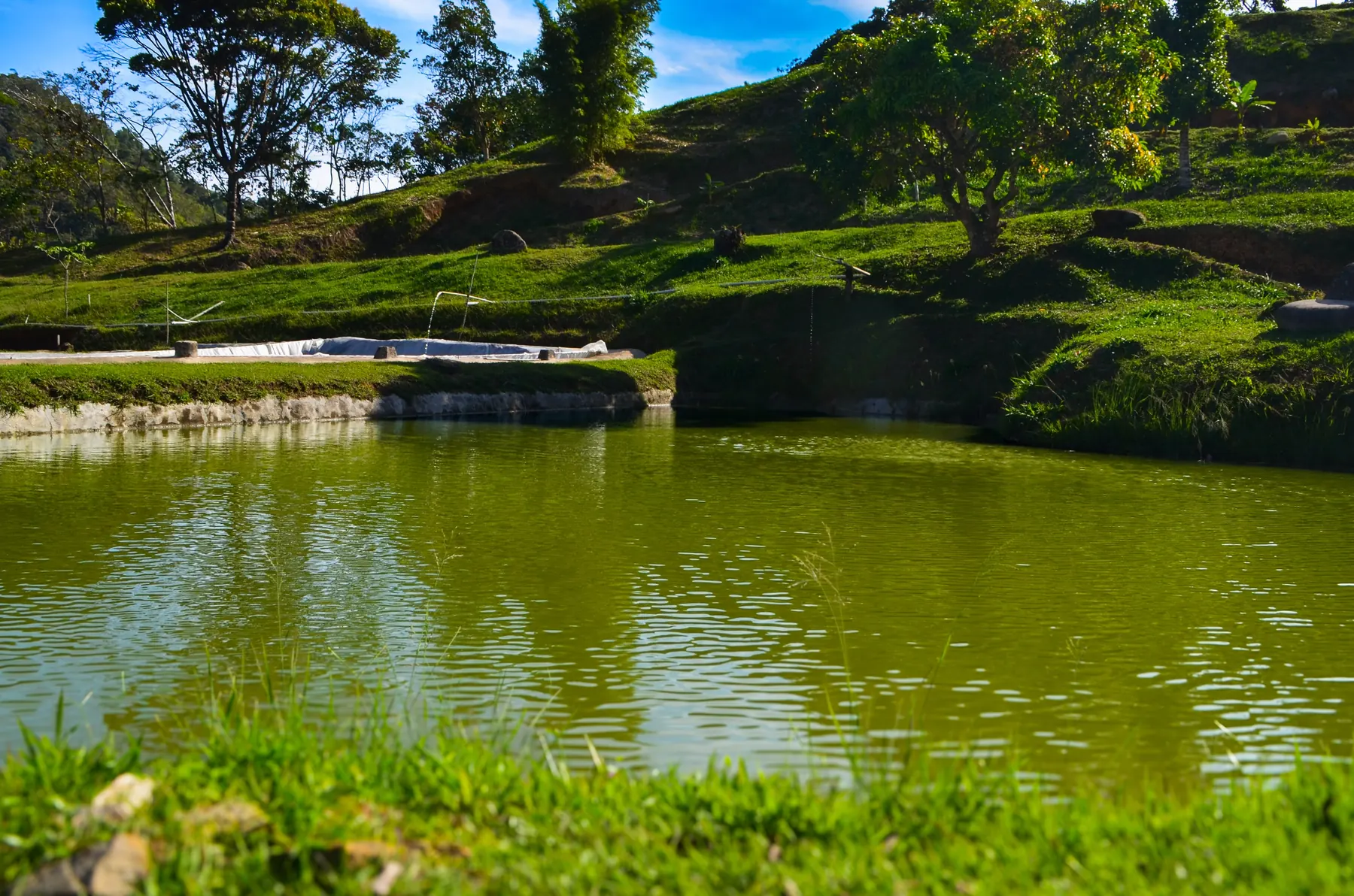 Lago de pesca rodeado de pasto y montañas
