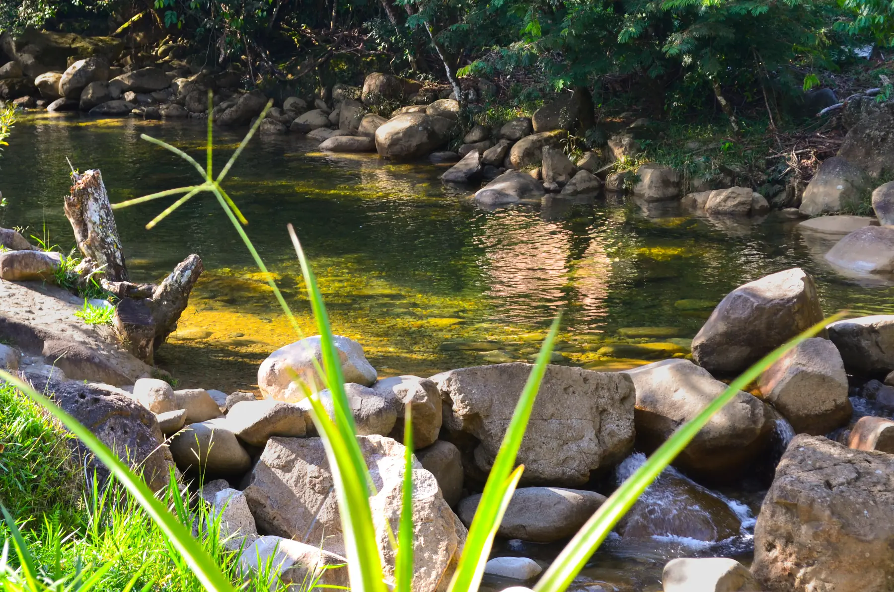 Río cristalino entre piedras grandes y árboles